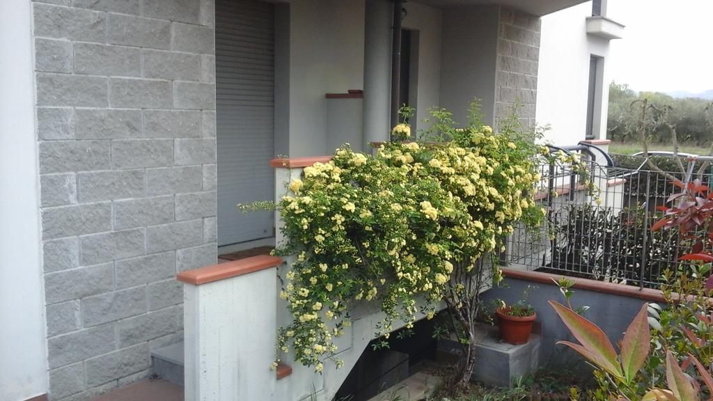 I Borghi Hotel Empoli Eksteriør billede